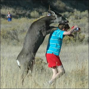 Photo Sharing and Video Hosting at Photobucket