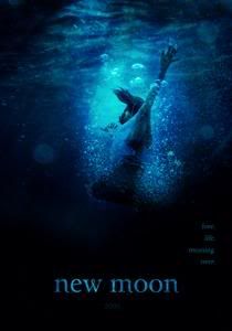 Twilight Series Movies on The Twilight Series Second Movie New Moon 2009 The Twilight Series