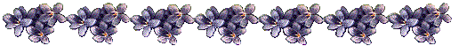 Violet bar Pictures, Images and Photos