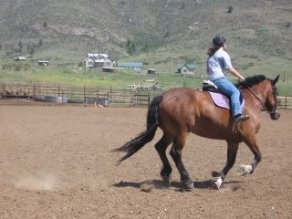 IMG_4354.jpg