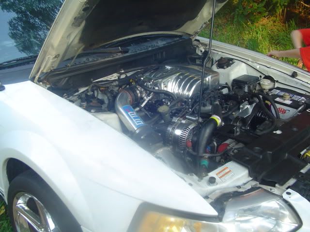 BBK Performance Throttle Body 75mm 96+ 4.6L 2V Ford BBK Performance Throttle Body 75mm 96+ 4.6L 2V Ford