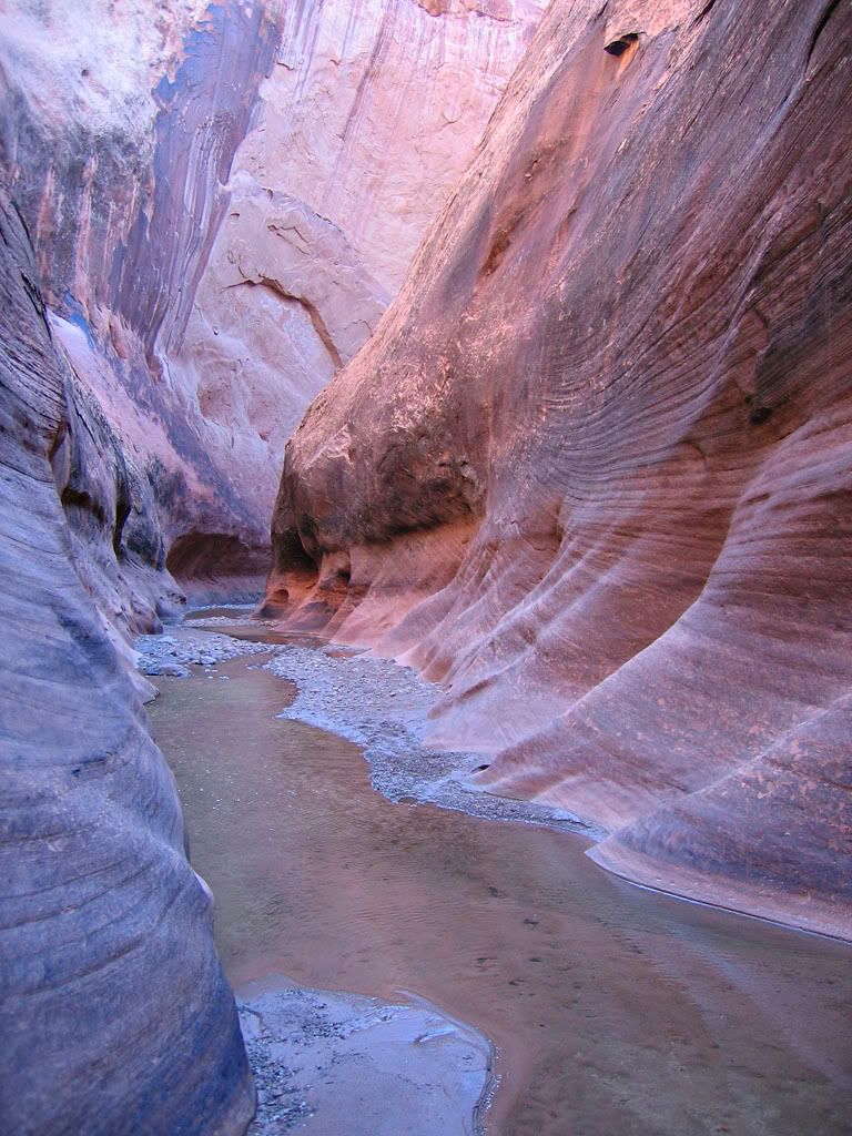 <img:http://i165.photobucket.com/albums/u66/DRACKELL/capitolreef_0030.jpg>