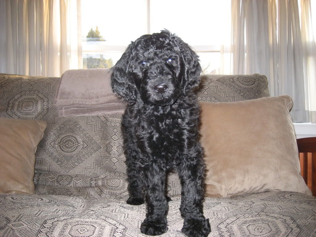 IMG_1339.jpg picture by cleocjl