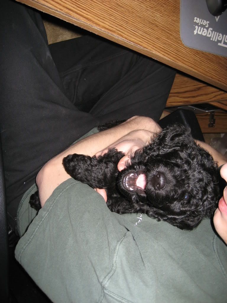 IMG_1358.jpg picture by cleocjl