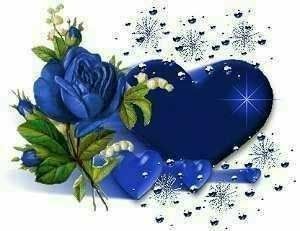 Blue Rose Valentine