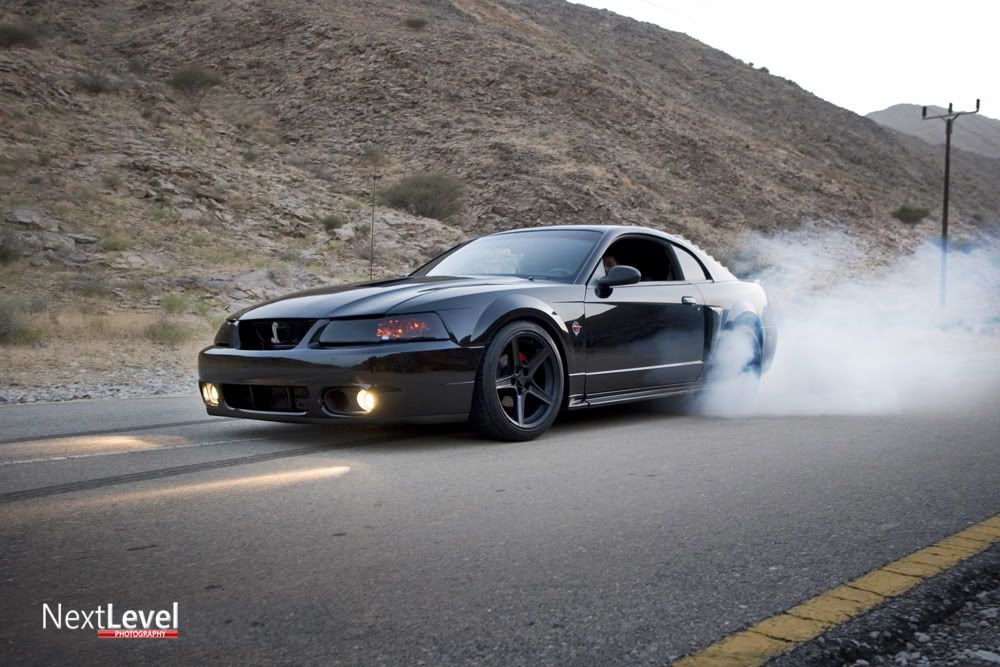 IMAGE: http://i165.photobucket.com/albums/u73/Next_Level_photography/IMG_8380.jpg