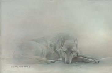 lonely wolf
