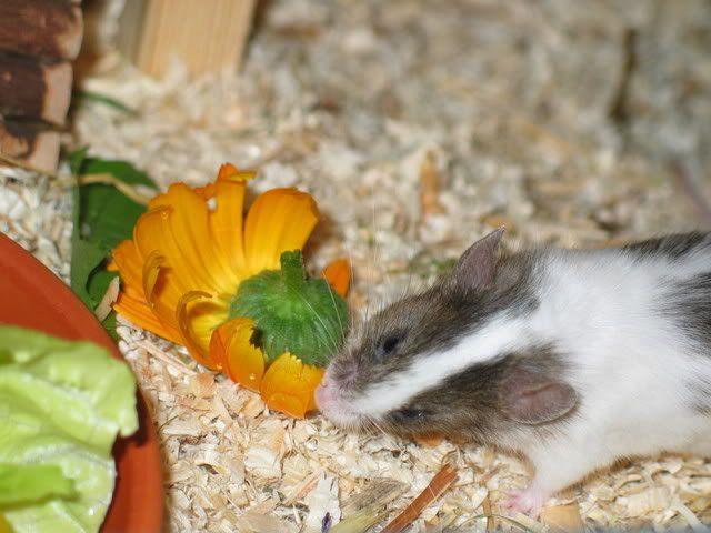 227_2774.jpg