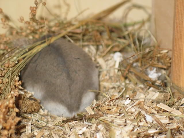 229_2994.jpg