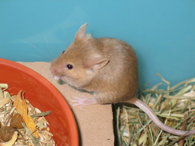 232_3231.jpg