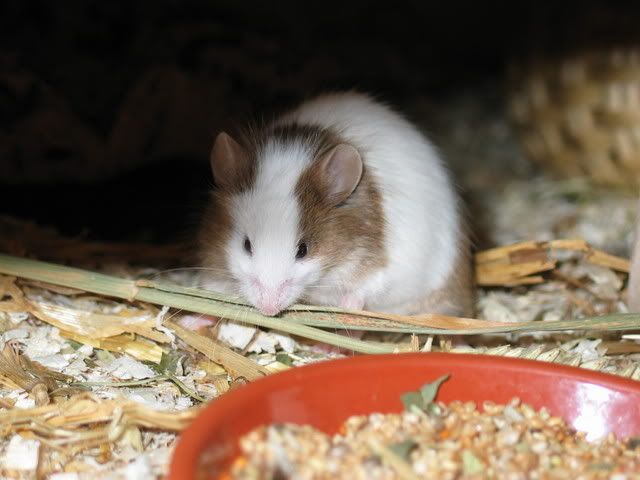 245_4582.jpg