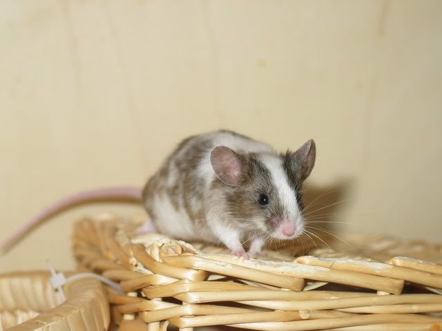 246_4649.jpg