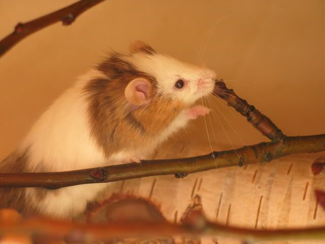 247_4753.jpg