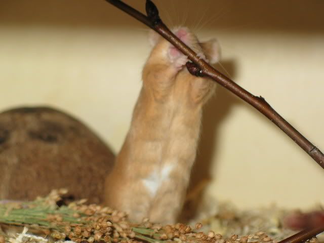 247_4755.jpg