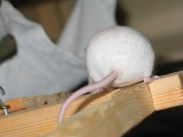 248_4854.jpg