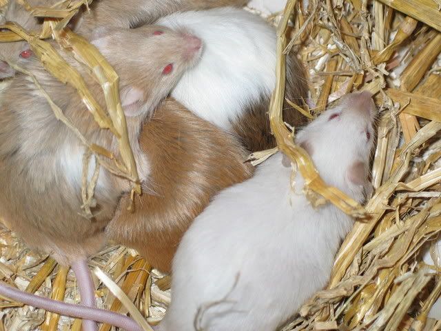 249_4970.jpg