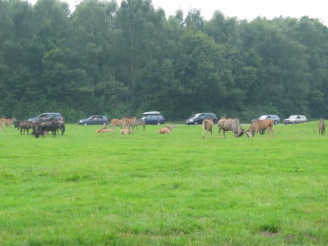 IMG_3028.jpg