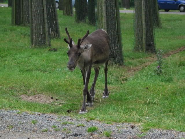 IMG_3052.jpg