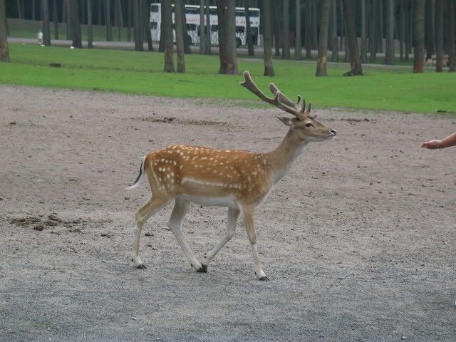 IMG_3063.jpg