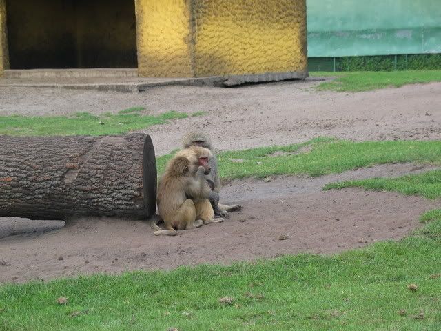 IMG_3102.jpg