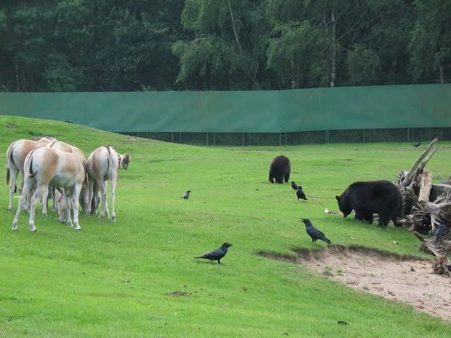 IMG_3106.jpg