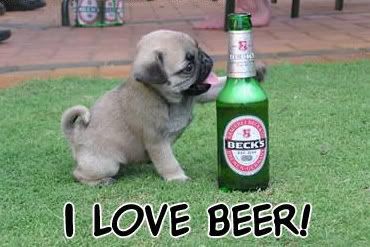 Dog I Love Beer Funny Picture