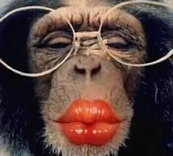 monkey-kiss.jpg