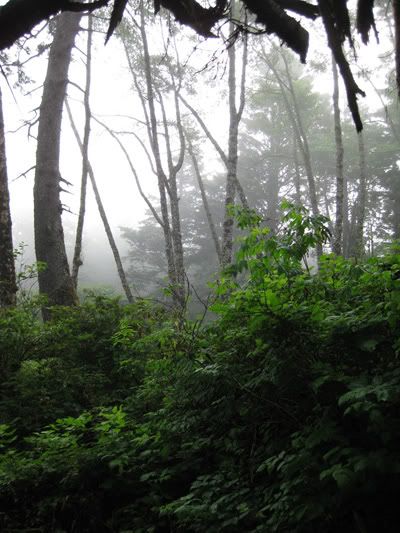 Ruby Beach Mist