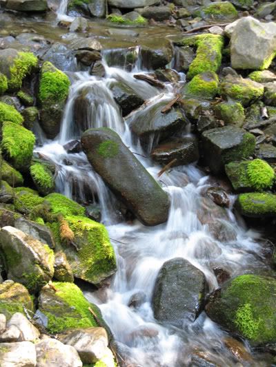 Sol Duc Stream