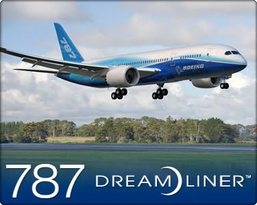 Boeing_787.jpg