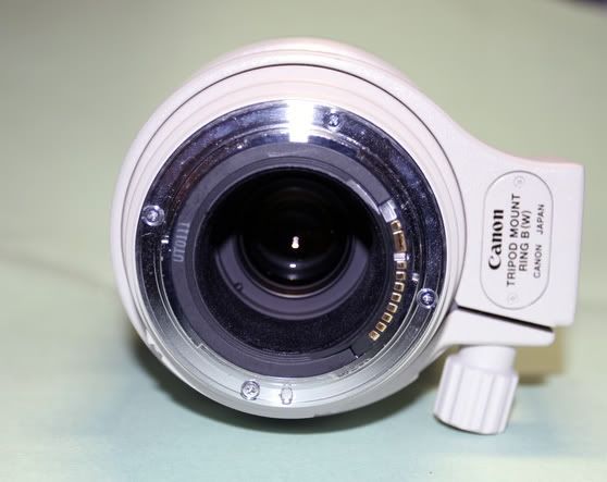 IMAGE: http://i165.photobucket.com/albums/u75/Null-Mind/96a17f8b-63b0-4415-a6c8-ab21685fd136_zps1ab8e543.jpg