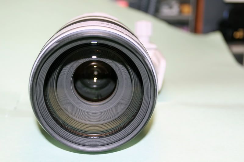 IMAGE: http://i165.photobucket.com/albums/u75/Null-Mind/f3940431-2f2b-4175-bbfe-8961a58db861_zpsa3fcc3f5.jpg