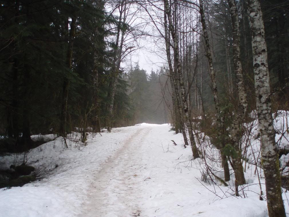 P3080034.jpg