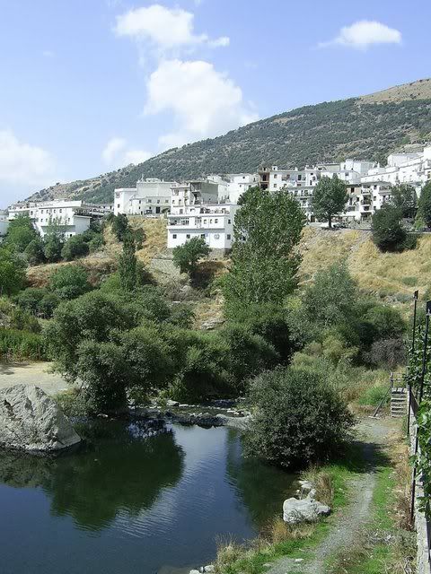 watertrevelez1.jpg