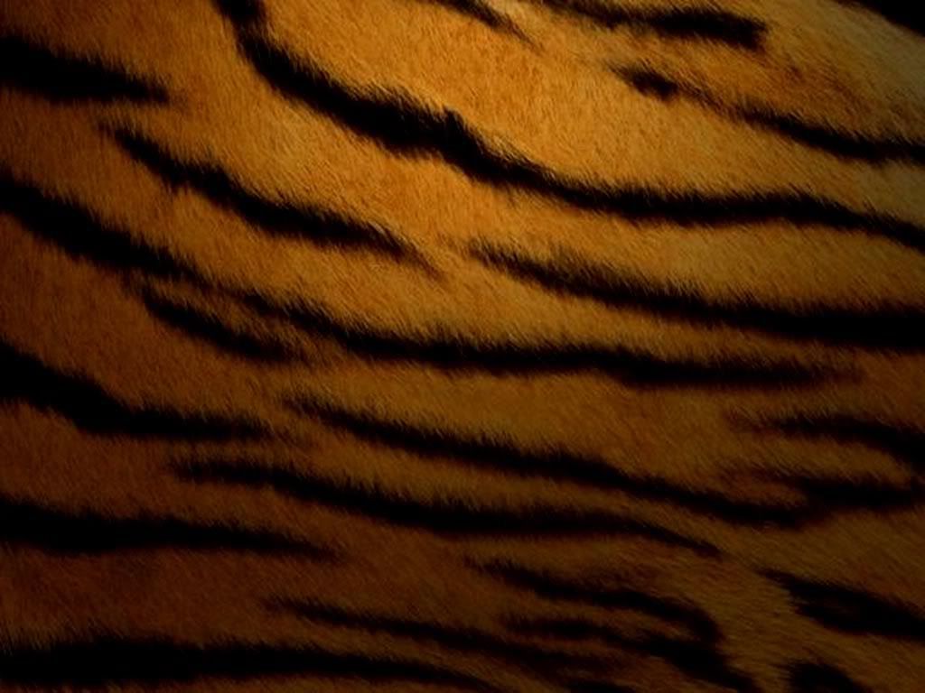 how to print wallpaper on Tiger Print Wallpaper  Background  Theme  Desktop