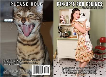 pinups for felines