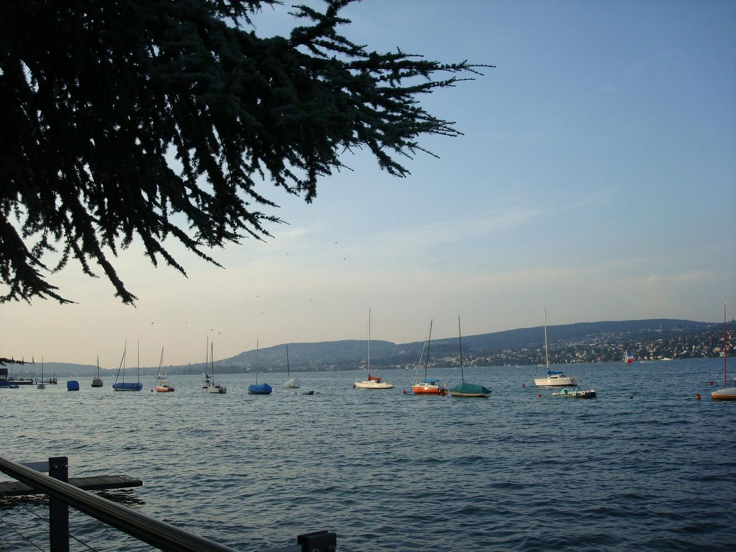 view from the restaurant