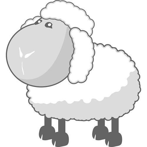 innocent sheep