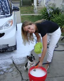 foam cannon kit blaster washing foaming gun wash chemical guys soaps