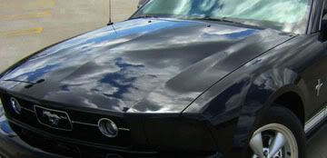 M Seal Paint Sealant