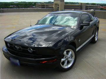 Paint protection