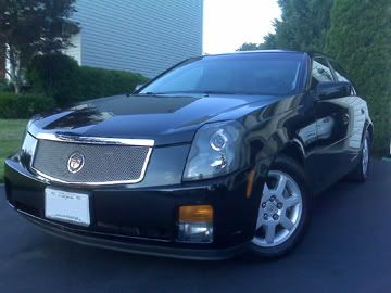 carnauba paste wax