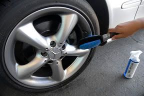 spoke and wheel brush