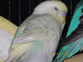 Donna014.jpg