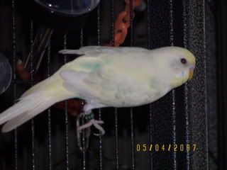 Donna018.jpg