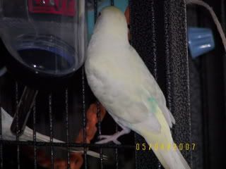 Donna019.jpg