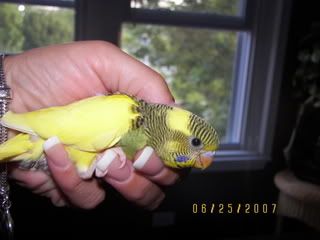 donna011-4.jpg
