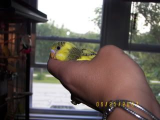 donna012-3.jpg