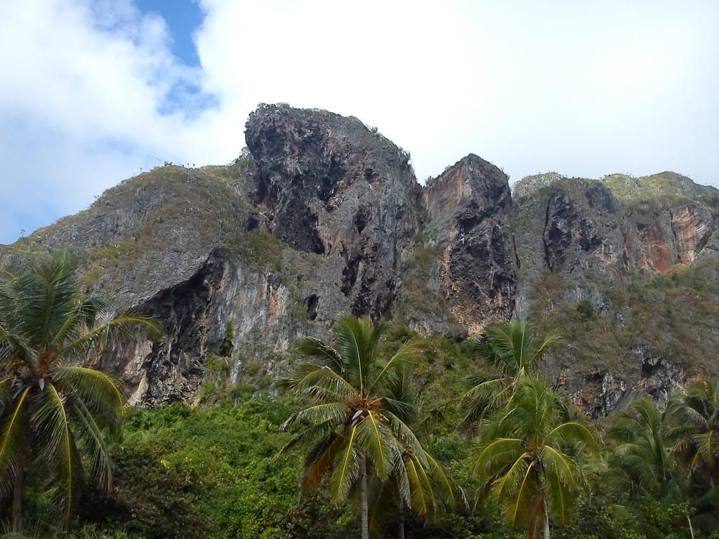 DSC00685.jpg