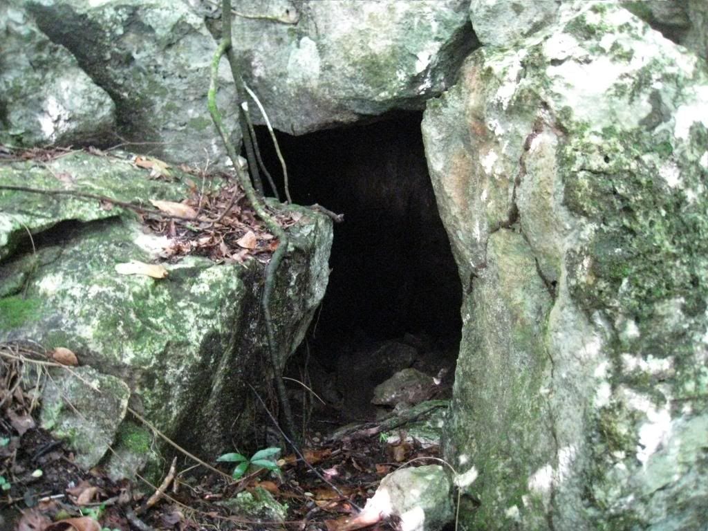 IMG_0975.jpg